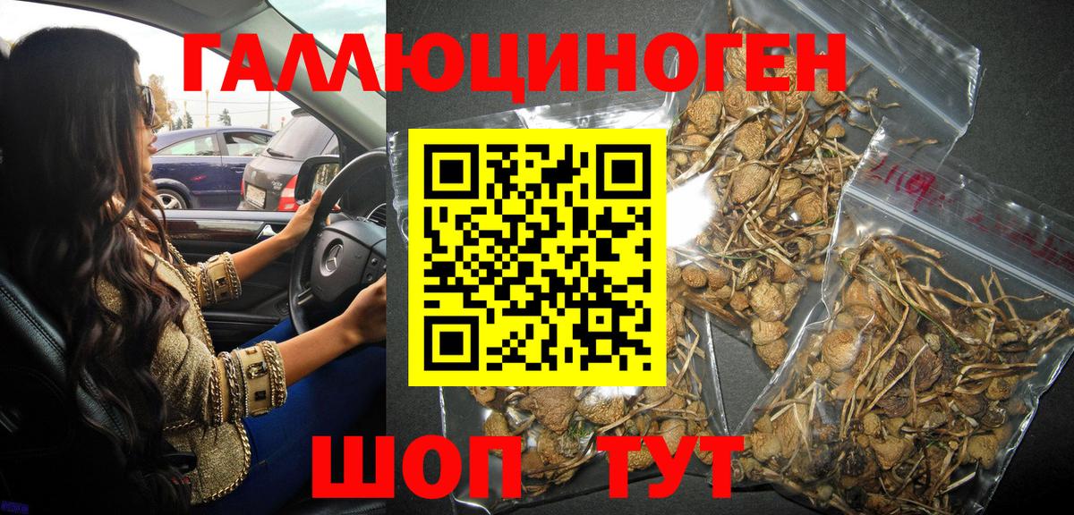 Псилоцибиновые грибы мухоморы Кинель